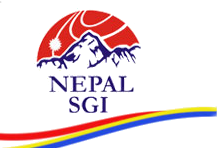 nsgi logo